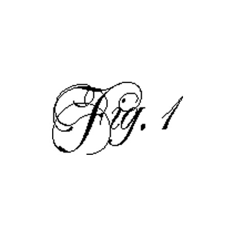 #2335 - Fig. 1 - Nature